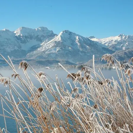 Hotel Seehotel Hartung&ferienappartements 4*
