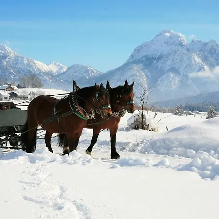Seehotel Hartung&ferienappartements 4* Füssen